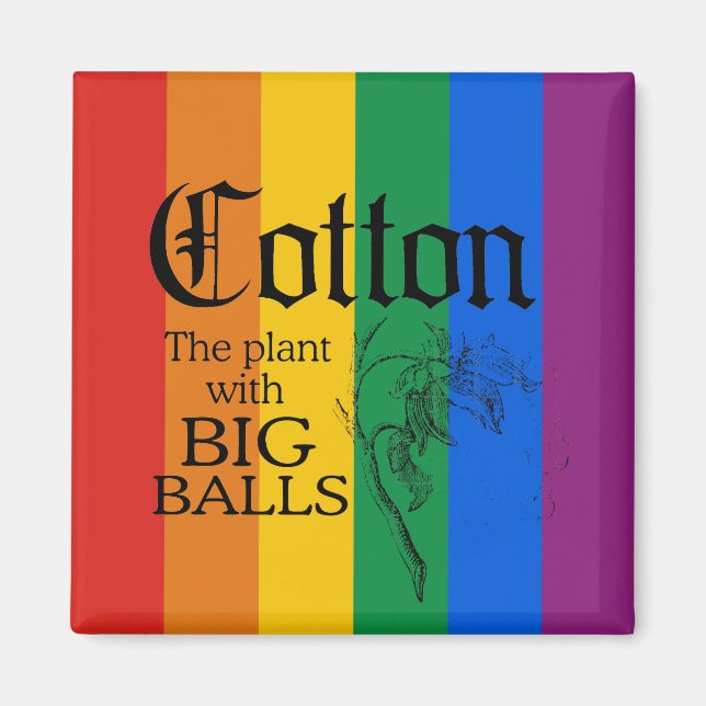 IMÁN ALGODÓN: LA PLANTA CON GRANDES BALLAS (Frente)