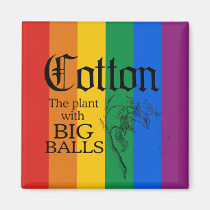 IMÁN ALGODÓN: LA PLANTA CON LAS BOLAS GRANDES