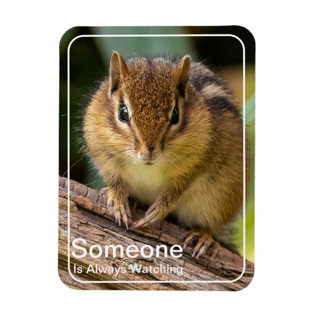 Imán Alguien está observando a Chipmunk (Vertical)
