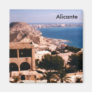 Imán Alicante