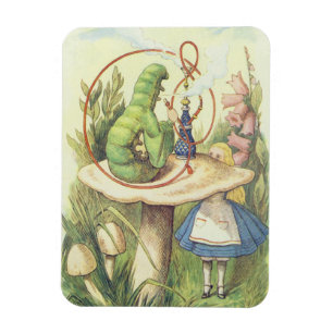 Imán Alice se reúne con la oruga