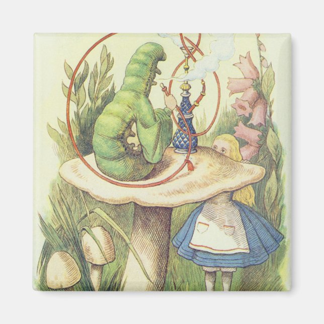 Imán Alice se reúne con la oruga (Frente)