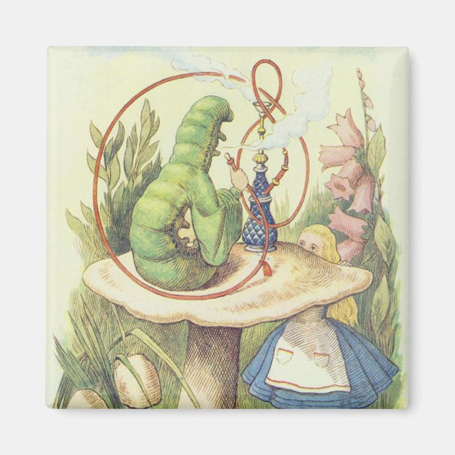 Imán Alice se reúne con la oruga (Frente)