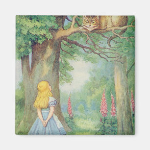 Imán Alice y el gato de Cheshire