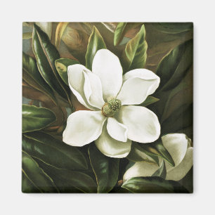 Imán Alicia H. Laird: Magnolia Grandflora