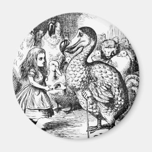 Imán Alicia y el Dodo