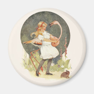 Imán Alicia y el flamenco