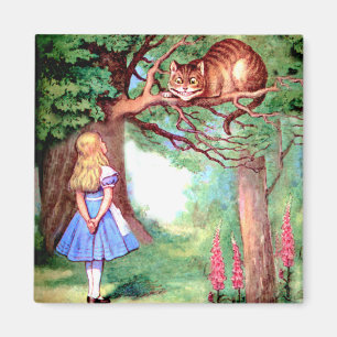 Imán Alicia y el gato de Cheshire en el país de las