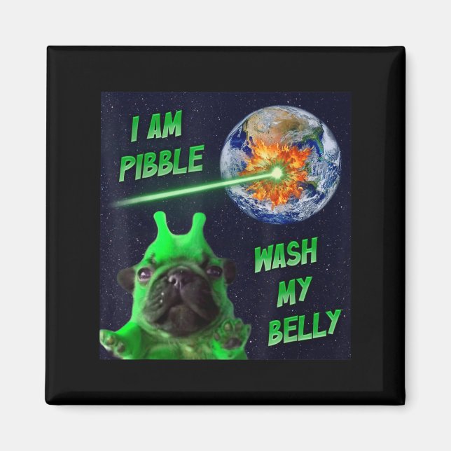 Imán Alien Bble Funny Brainrot Dog Meme Space I Am Bble (Frente)