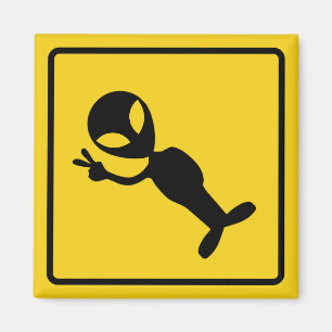 Imán Alien Crossing Zone
