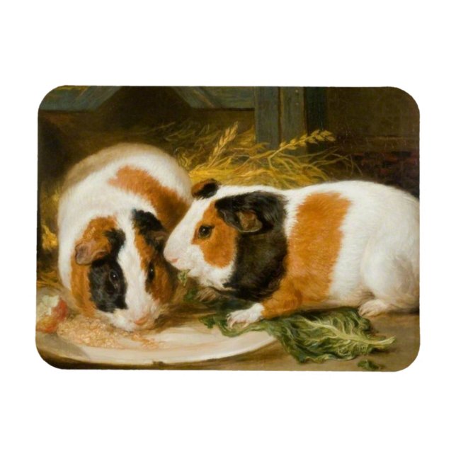 Imán Alimentación de cerdos de Guinea mascota (Horizontal)