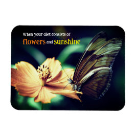 Imán Alimentación de mariposa en la flor
