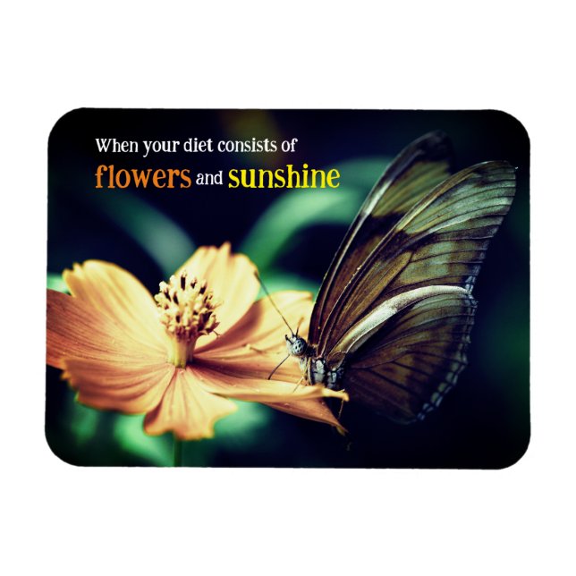 Imán Alimentación de mariposa en la flor (Horizontal)