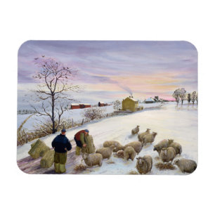 Imán Alimentación de ovinos en invierno