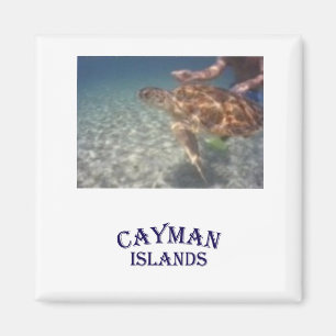 Imán Alimentación de una tortuga