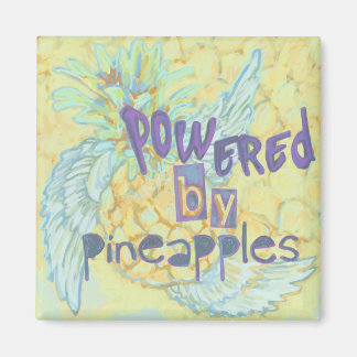 Imán Alimentado por piñas, imanes