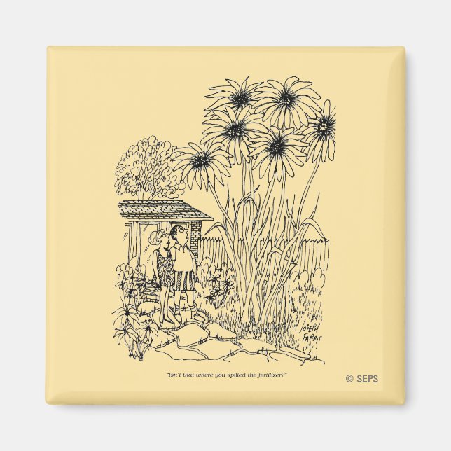 Imán Alimentador de pájaros vacío (Frente)