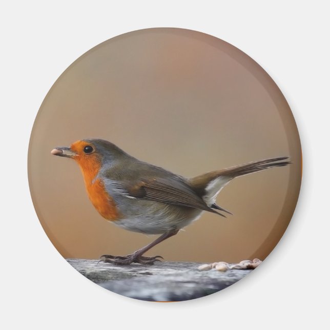 Imán Alimentando a Robin Magnet (Frente)