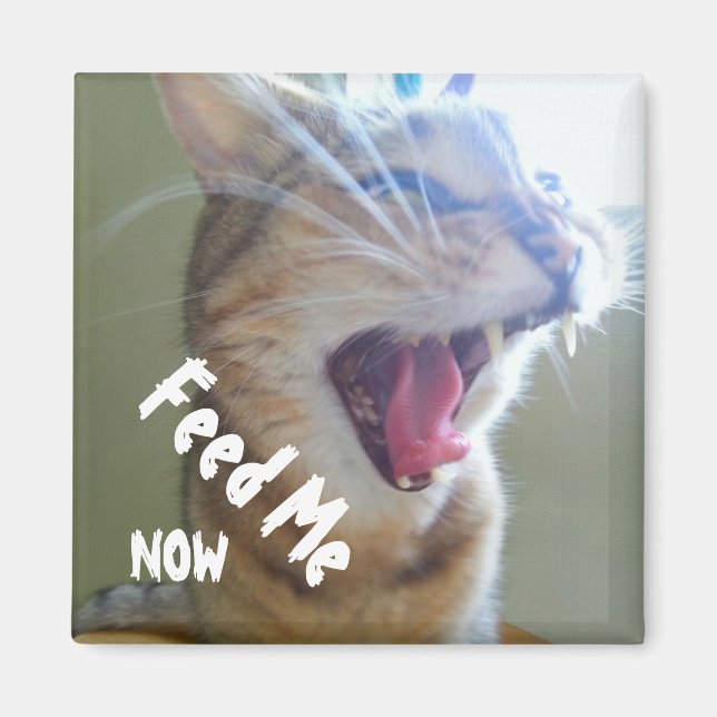 Imán Alimentarme ahora (Frente)