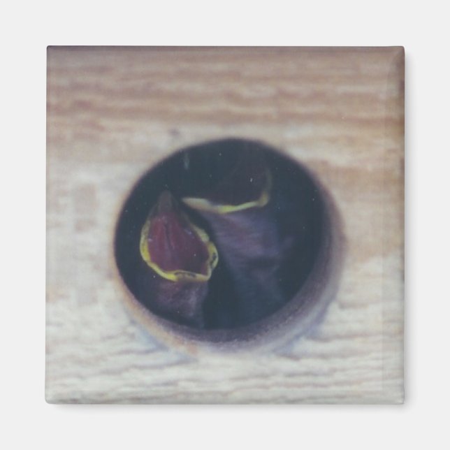 Imán ¡ALIMENTARNOS! -imán (Frente)