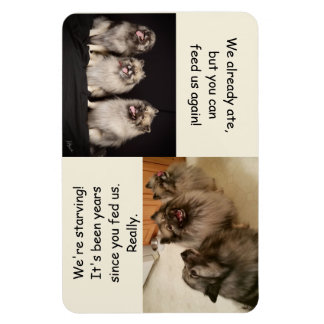 Imán Alimentarse o no alimentarse es la pregunta imprim