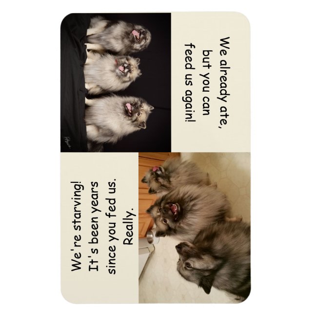 Imán Alimentarse o no alimentarse es la pregunta imprim (Vertical)