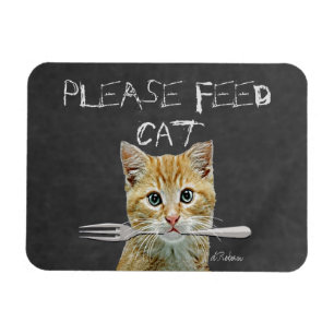 Imán Alimente por favor el gato
