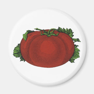 Imán Alimentos Antiguos, Tomate Maduro, Verduras y Frut