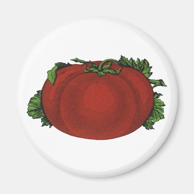 Imán Alimentos Antiguos, Tomate Maduro, Verduras y Frut (Frente)
