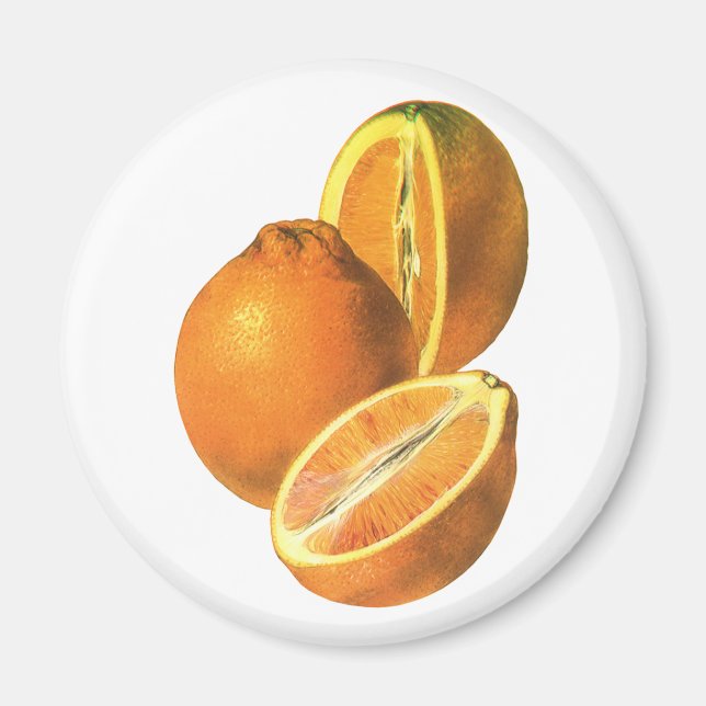 Imán Alimentos para la cosecha, Naranjas recién sanos o (Frente)