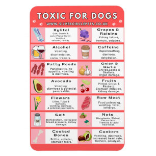 Imán Alimentos tóxicos para perros Fridge Magnet