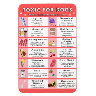 Imán Alimentos tóxicos para perros Fridge Magnet