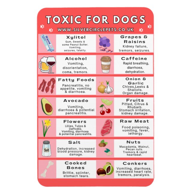 Imán Alimentos tóxicos para perros Fridge Magnet (Vertical)