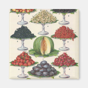 Imán Alimentos Vintage Frutas Variadas en Bandejas para