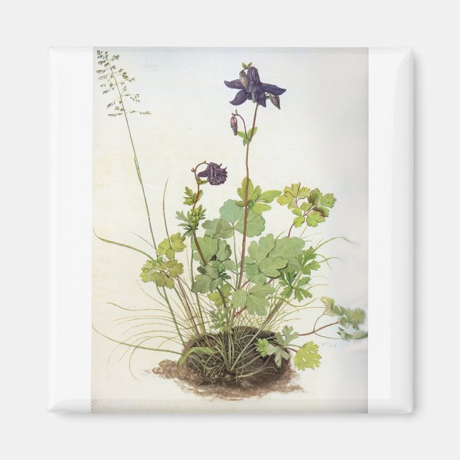 Imán Alkelei-Blume - Albrecht Durer - c1500 (Frente)