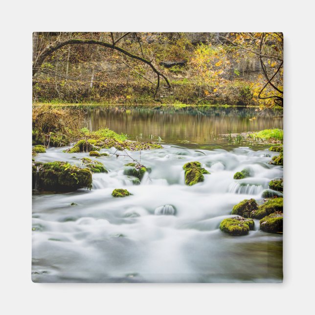 Imán Alley Springs Rapids (Frente)