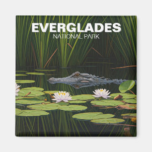 Imán Alligador del Parque Nacional Everglades en el Agu