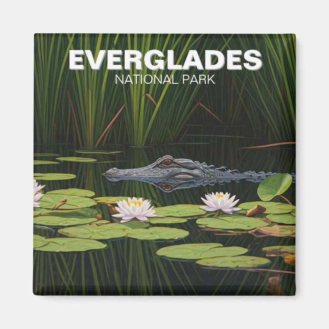 Imán Alligador del Parque Nacional Everglades en el Agu (Frente)