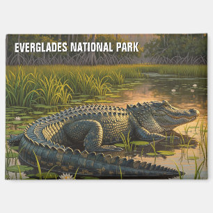 Imán Alligador en el Parque Nacional Everglades