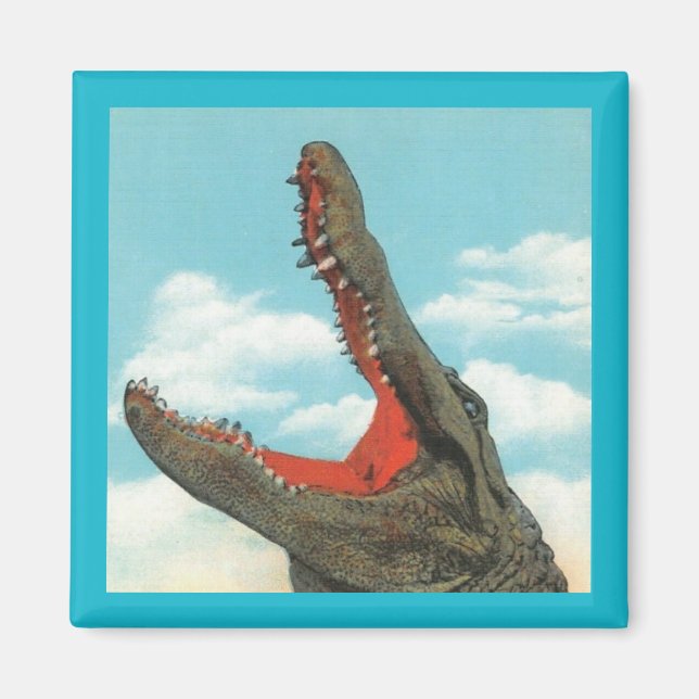 Imán Alligator Chomp (Frente)