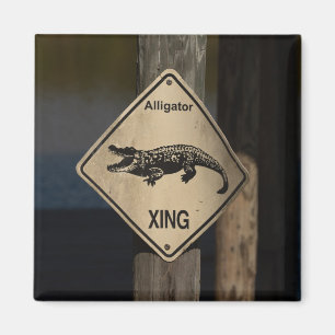 Imán Alligator Crossing Magnet