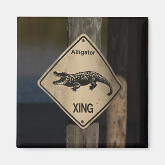 Imán Alligator Crossing Magnet