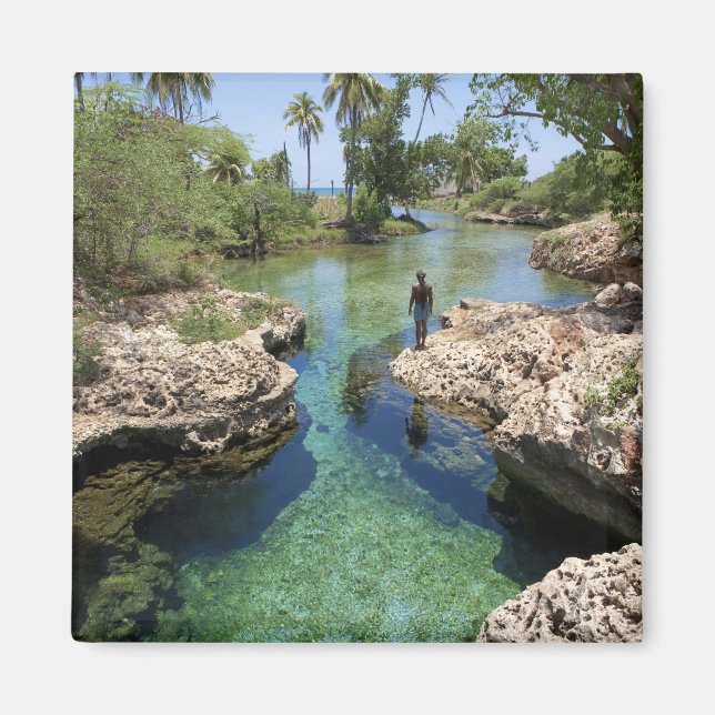 Imán Alligator Hole, Black River Town, Jamaica (Frente)