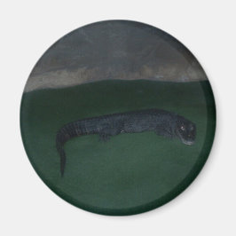 Imán Alligator ~ ¿Qué hay en la oscuridad?