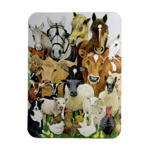 Imán Allsorts animal
