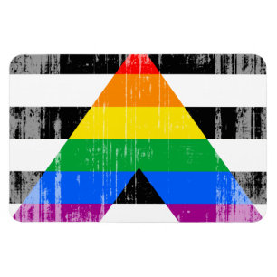 Imán ALLY FLAG DISTRESSED -.png
