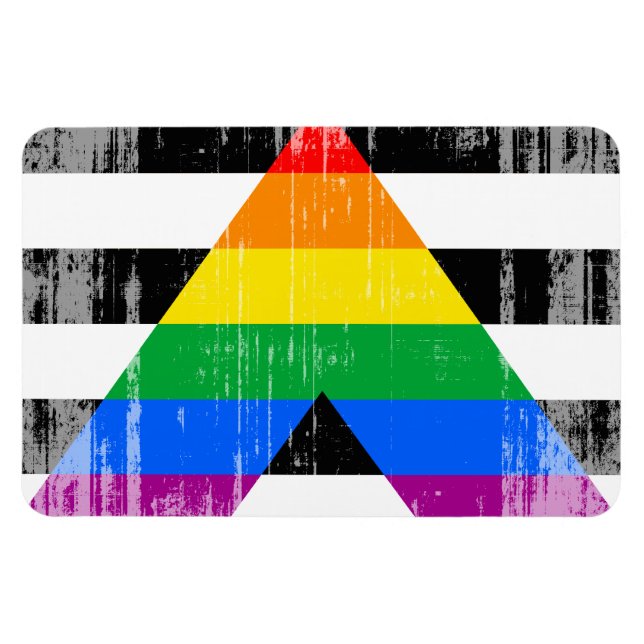 Imán ALLY FLAG DISTRESSED -.png (Horizontal)