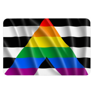 Imán ALLY FLAG FLYING -.png