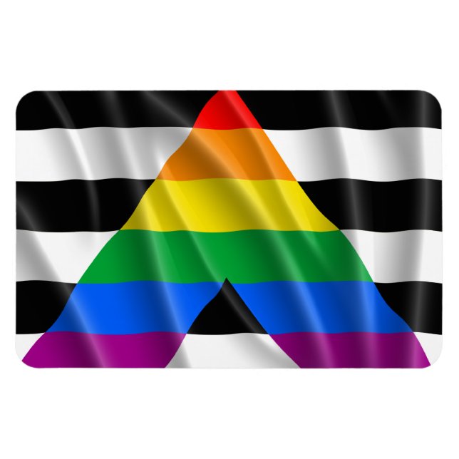 Imán ALLY FLAG FLYING -.png (Horizontal)