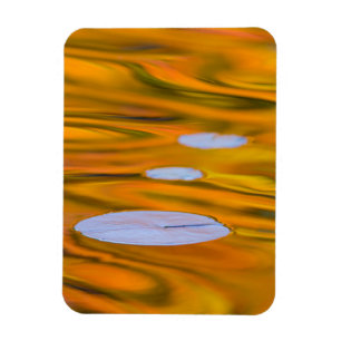 Imán Almohadilla en agua naranja, Canadá